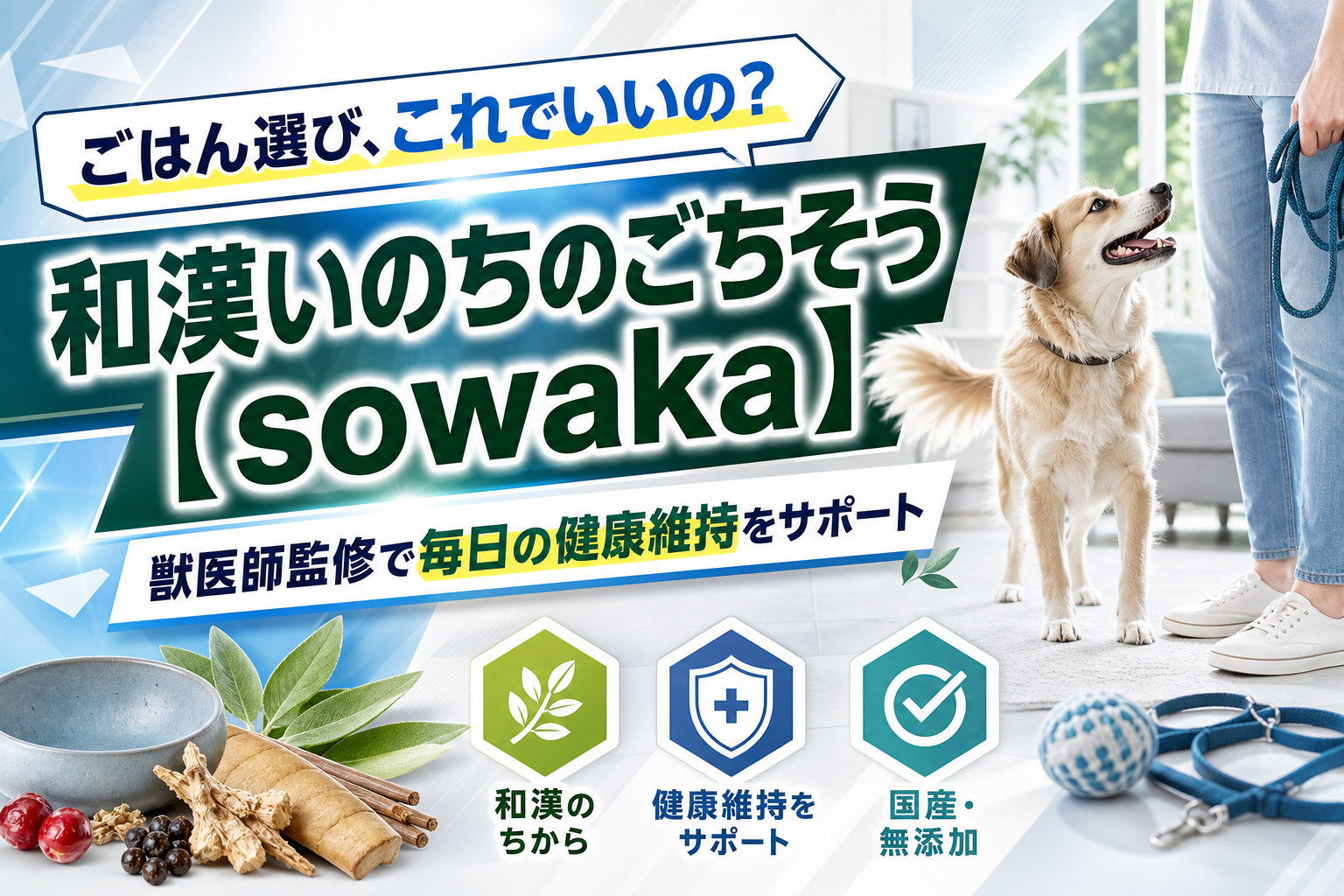 愛犬のごはん、これでいいの？と迷ったら。獣医師監修の和漢フードで“毎日”を整える選択 イメージ画像1